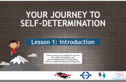 Kid on top of mountain with title saying Your Journey to Self-Determination Lesson 1: Introduction