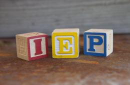 Wooden Blocks Spelling IEP