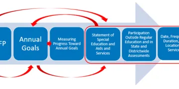 Arrow showing connections between the different parts of the IEP